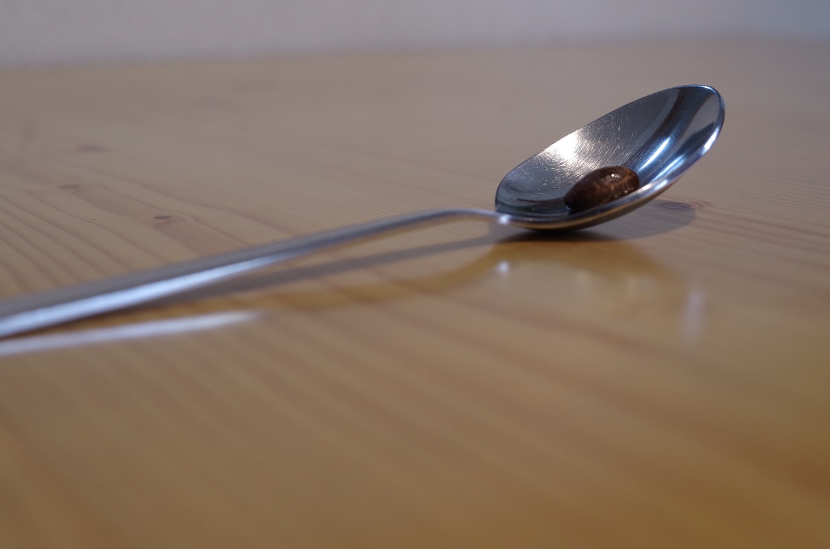 スプーンの上の亀