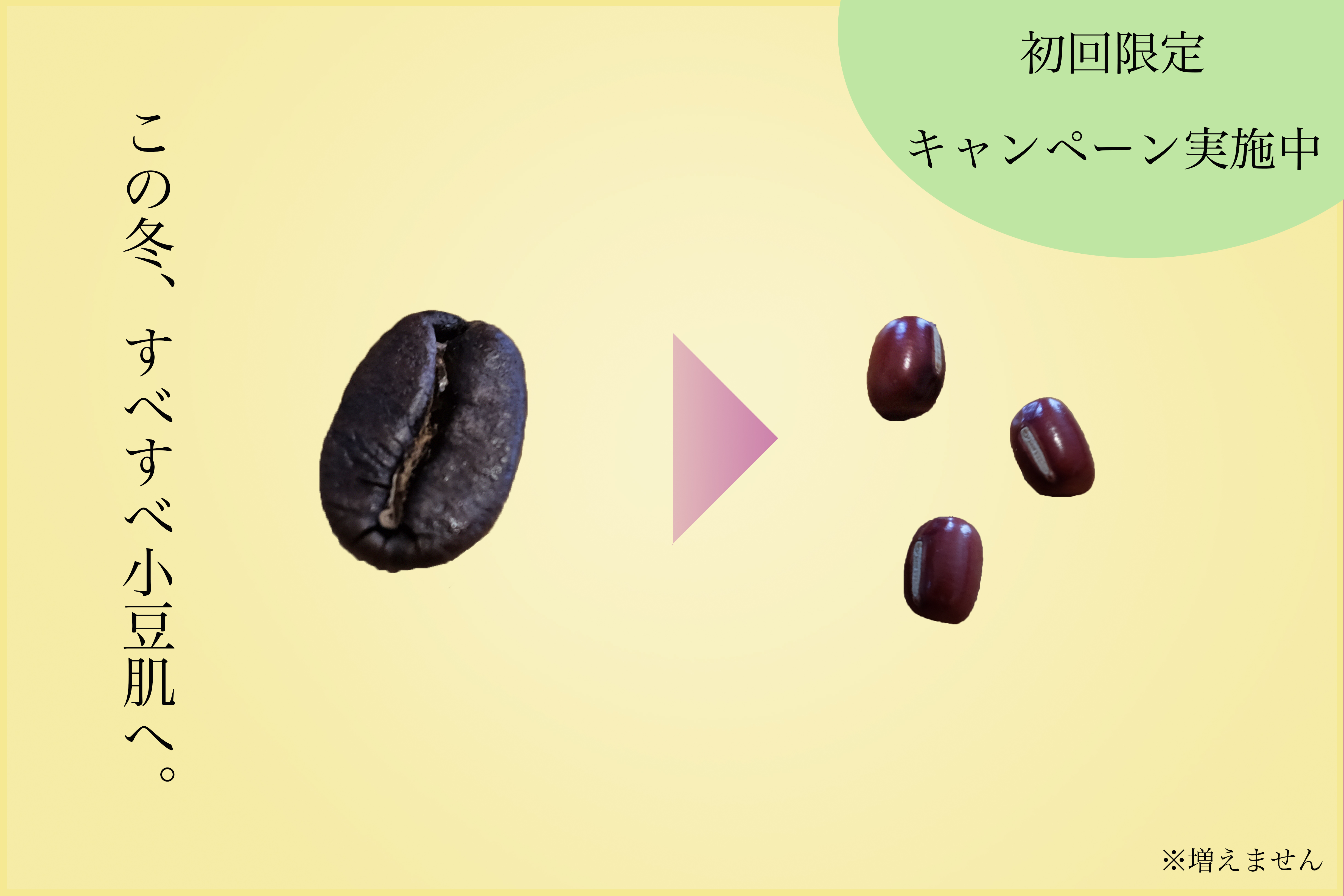 キャンペーン実施中