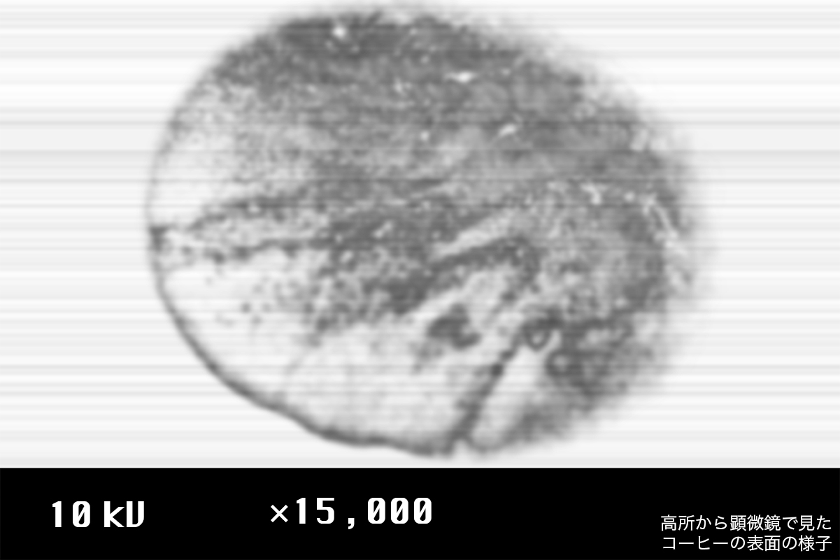 顕微鏡で見たフレンチプレスで淹れたコーヒーの表面