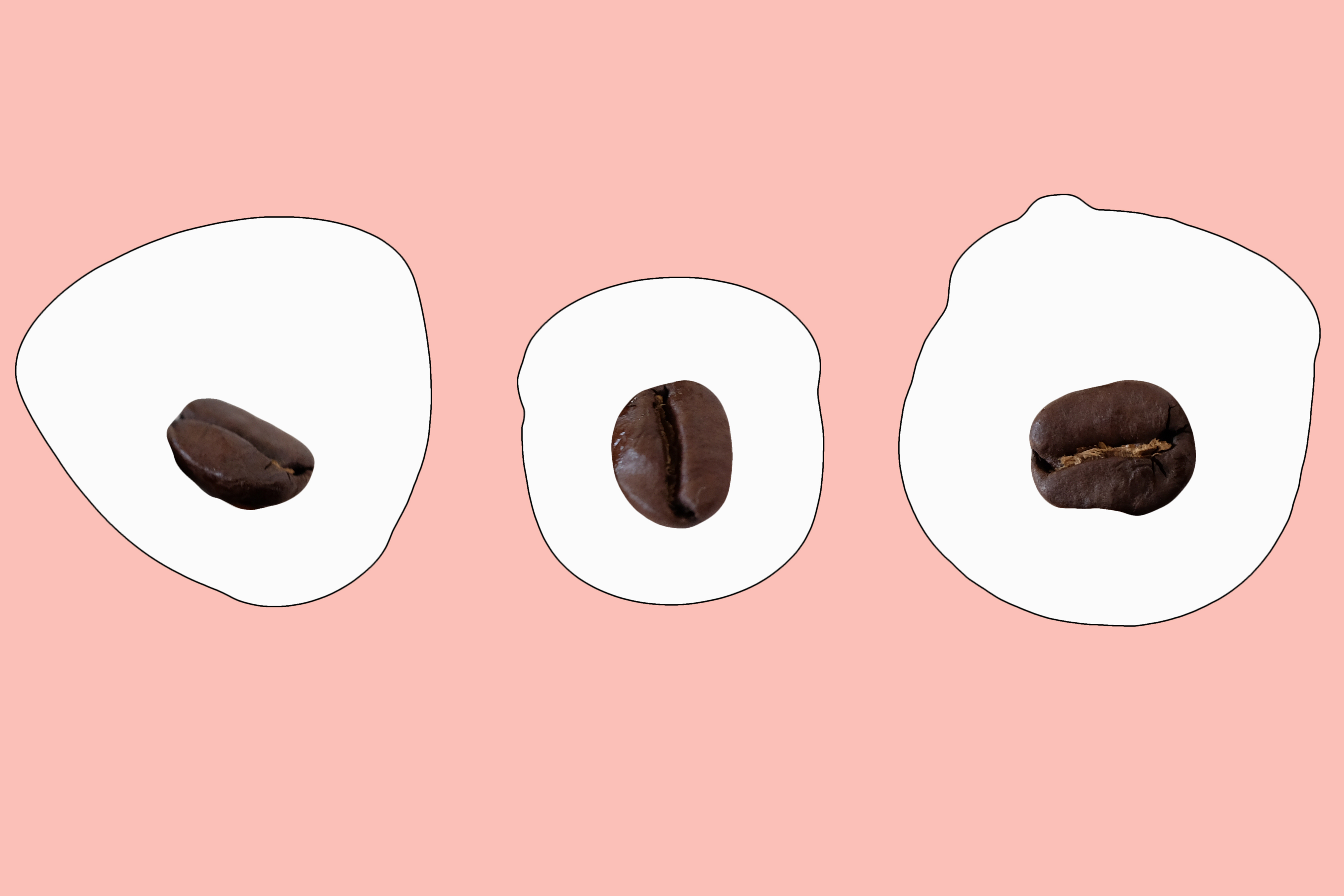 3つのコーヒー豆